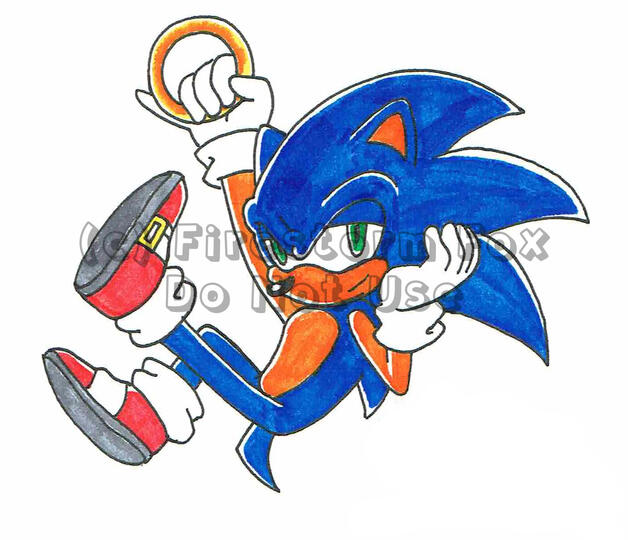 Sonic Markers, 2019