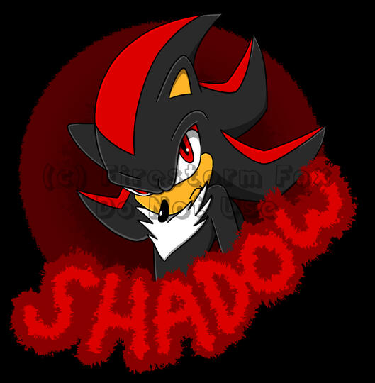 Shadow, 2019
