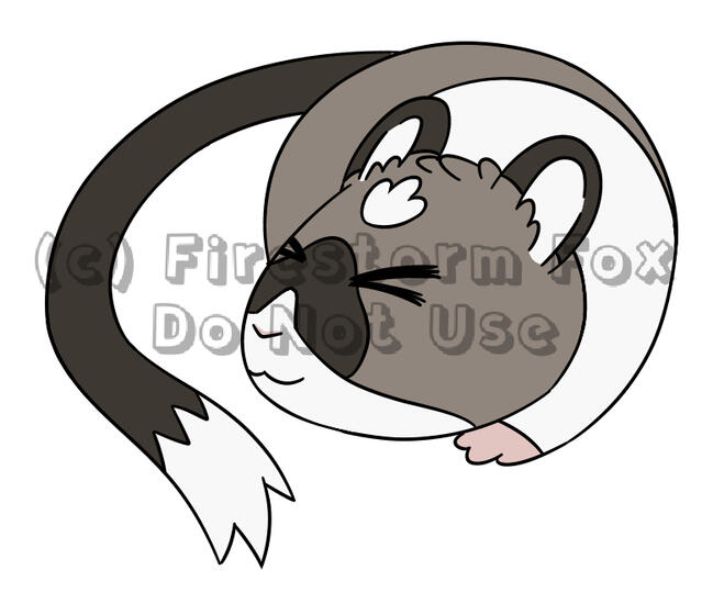 Cocoa Sleep, 2019