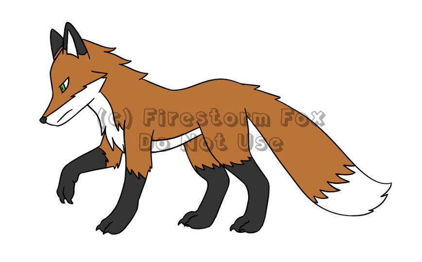 Suspicious Fox, 2019