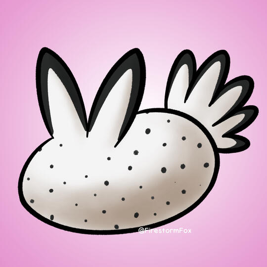 Sea Bunny, 2022