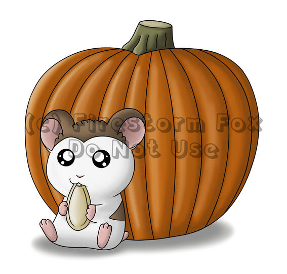 Mochi Pumpkin Seed, 2019