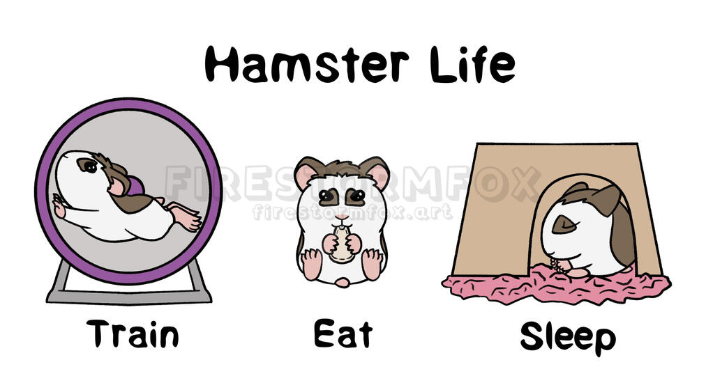 Hamster Life, 2020