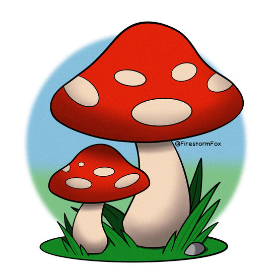 Mushrooms, 2024